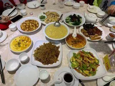香港马匹资料