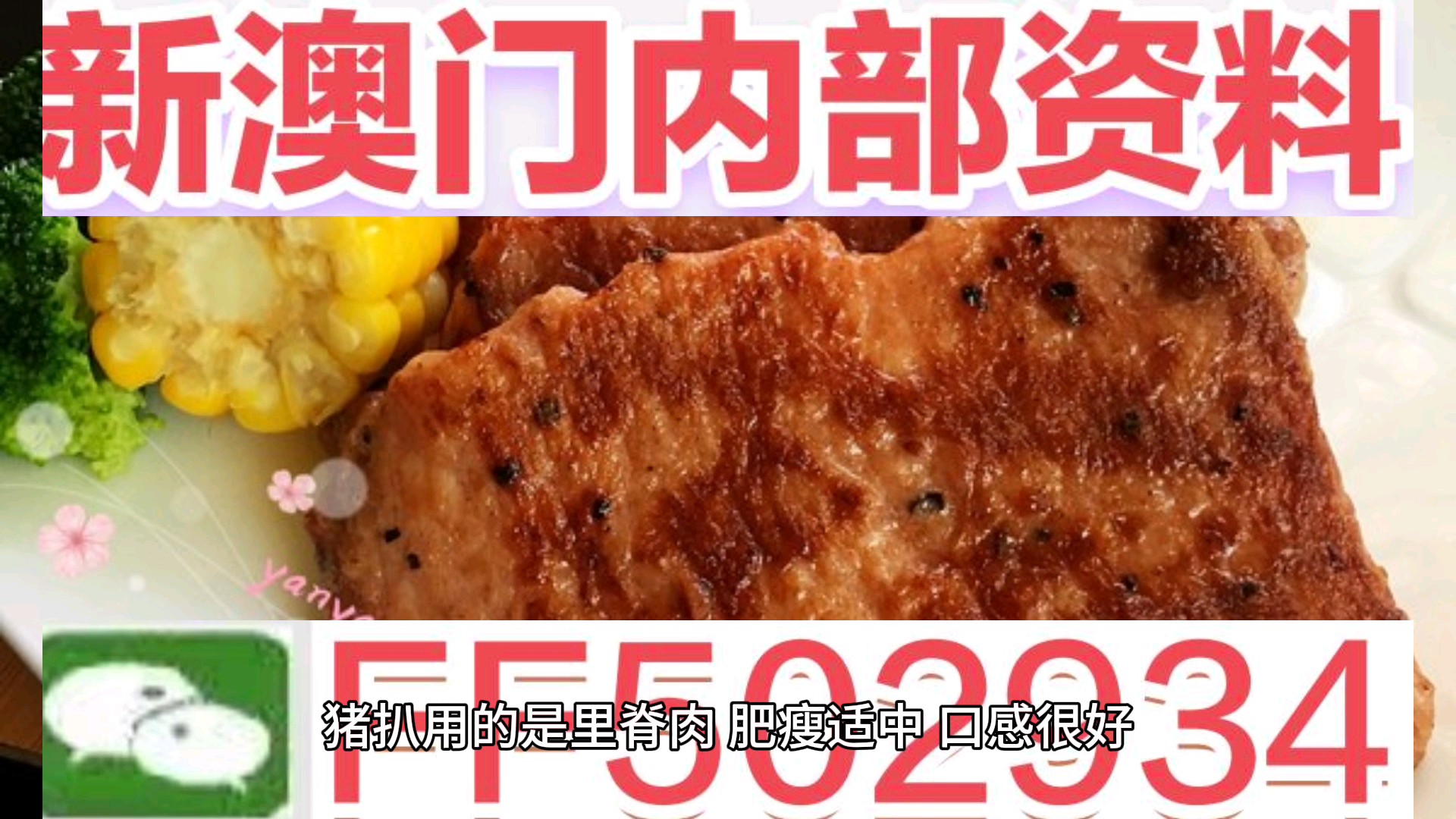 今晚澳门特马开什么号码，澳门今晚特马号码揭晓