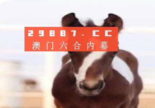 澳门一肖一码100，澳门一肖一码精准预测