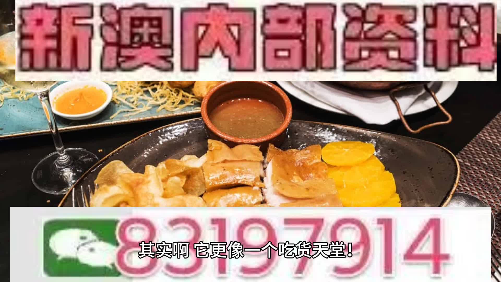 新澳2025年一肖一马中特展望，新澳未来展望，2025年一肖一马中特的期待与预测
