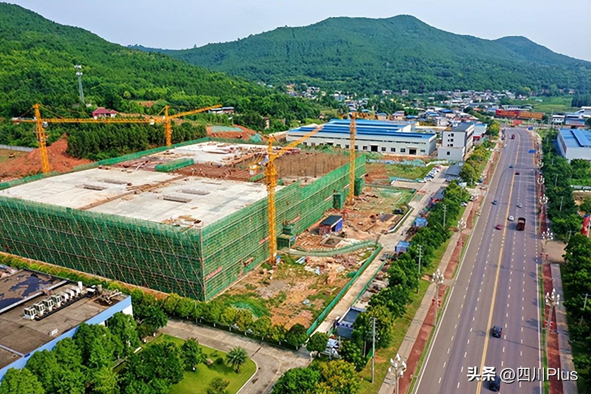 六和彩开码资料2025，六和彩开码资料揭秘（2025版）