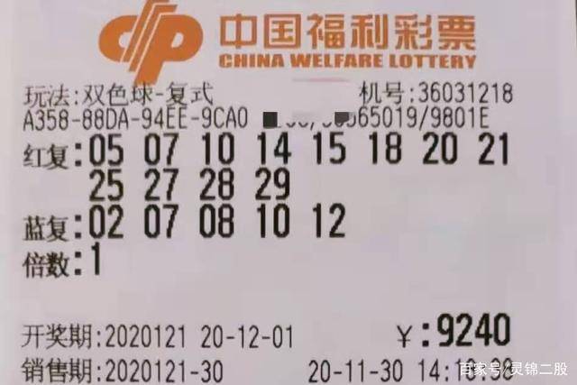 单双各十码王中王中特，解码彩票奥秘与策略分析，彩票解码奥秘与策略分析，单双各十码王中王中特探讨