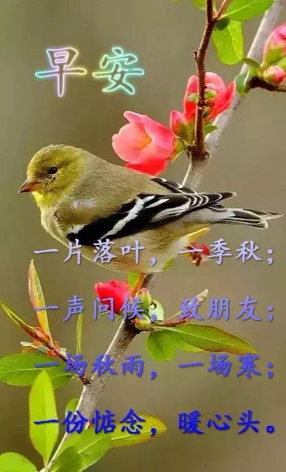 探索800图库，免费资料大全的无限可能，探索800图库，免费资料大全的无限潜能