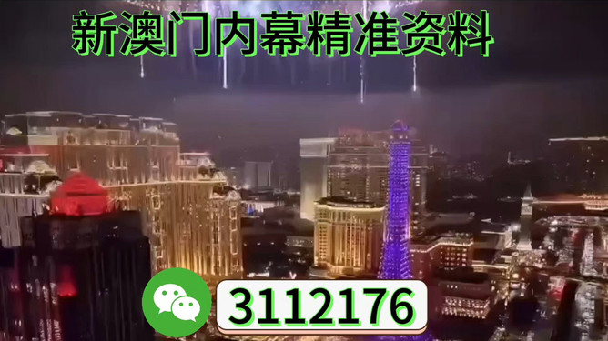 494949澳门今晚开什么，澳门今晚开奖号码预测，494949揭晓时刻！