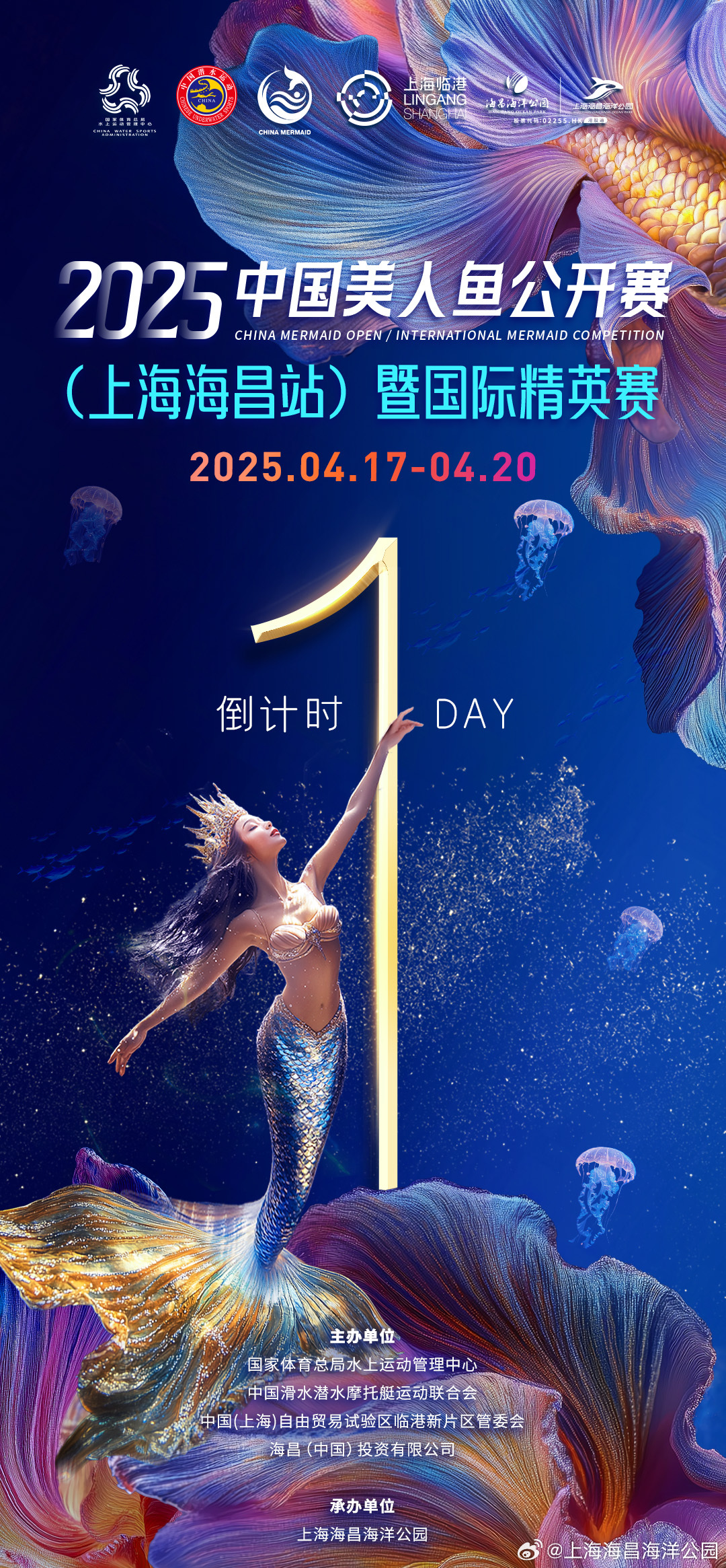 2025年美人鱼最准资料，揭秘美人鱼传说，最准确的资料预测（至2025年）