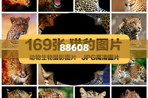 迈向2025，正版资料免费公开的崭新篇章，迈向2025，正版资料免费公开的开放新时代