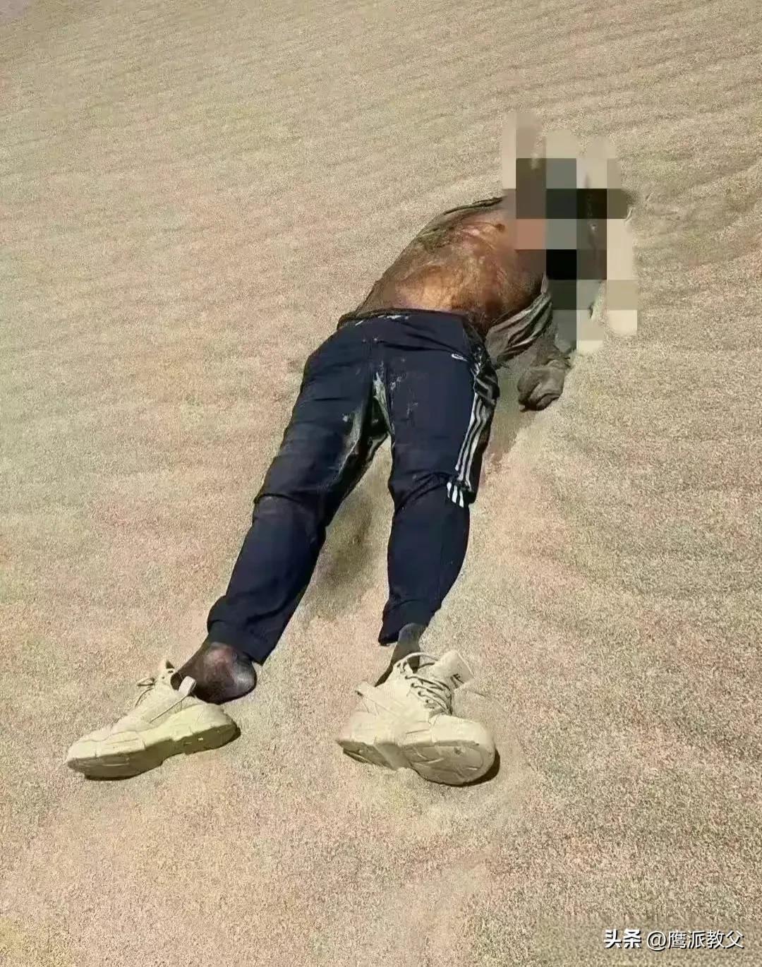 游戏专题 第142页