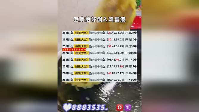 新澳今晚开奖结果查询全解析，新澳今晚开奖结果全解析及查询指南