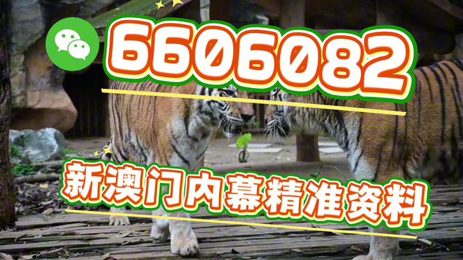今晚澳门特马开的什么，澳门今晚特马开奖结果揭晓
