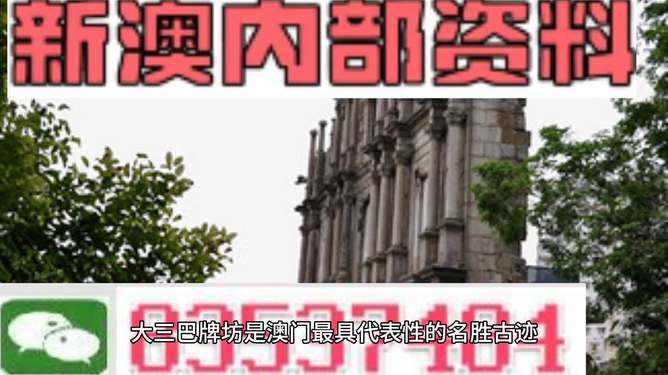 新澳门三中三码精准100%，澳门三中三精准预测号码 100%命中率预测揭秘