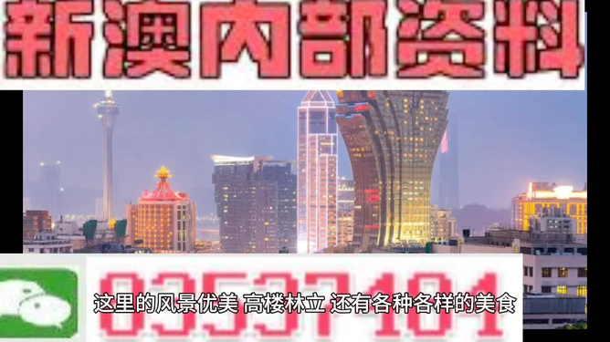 新澳门中特期期精准的奥秘与探索，澳门特期精准预测奥秘探索
