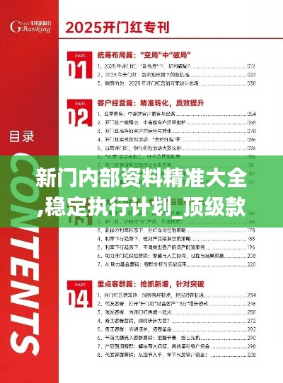 新门内部资料最新版本2025年，深度解析与前瞻展望，新门内部资料最新版本2025年深度解析与前瞻展望