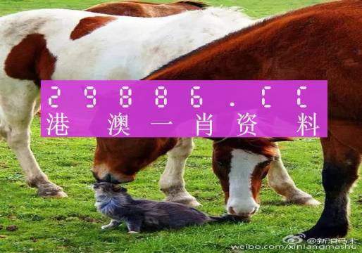 奥门2O24最准一肖一码，澳门预测2024精准生肖码一码揭秘