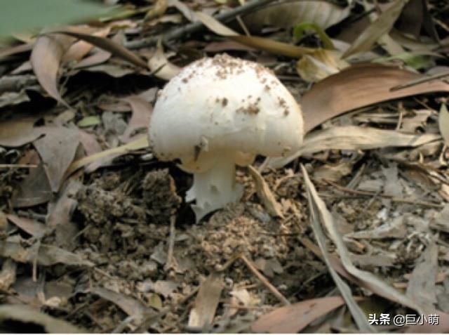 热点生活 第118页