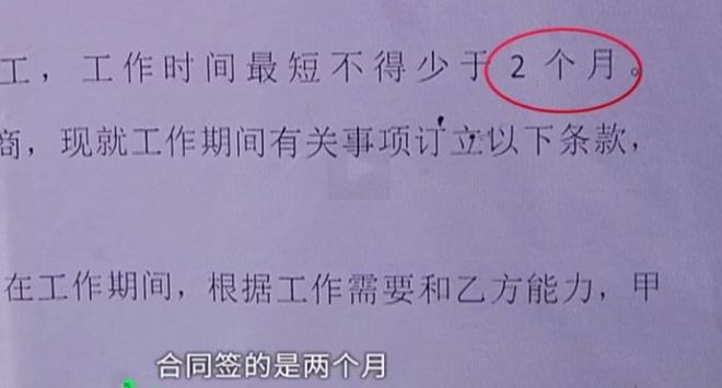 娱乐生活 第93页
