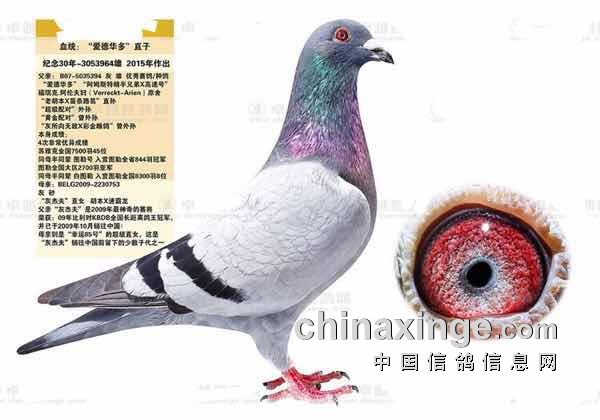 第136页
